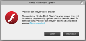 recommend to download adobe flash player windows 10