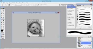 Adobe Photoshop 7.0 Free Download For Windows 7/8/10 - FileHippo